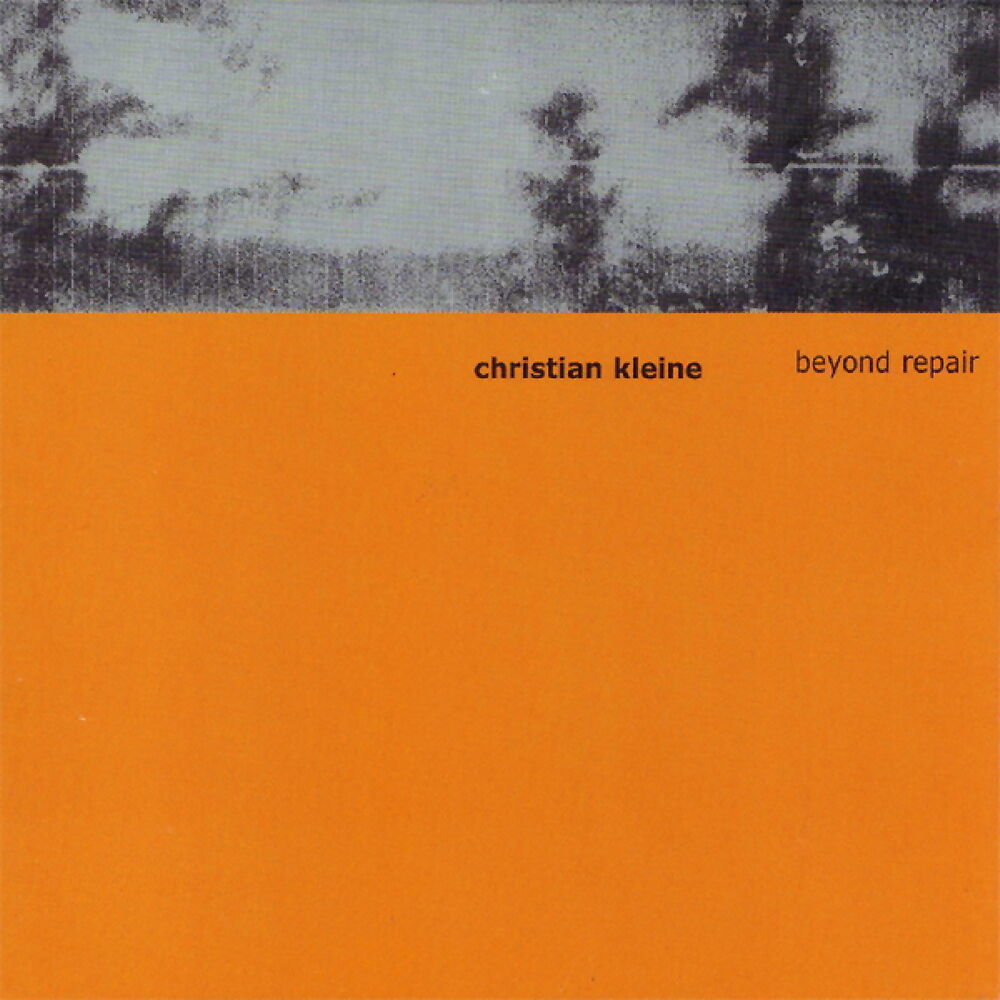 Picture of Beyond Repair