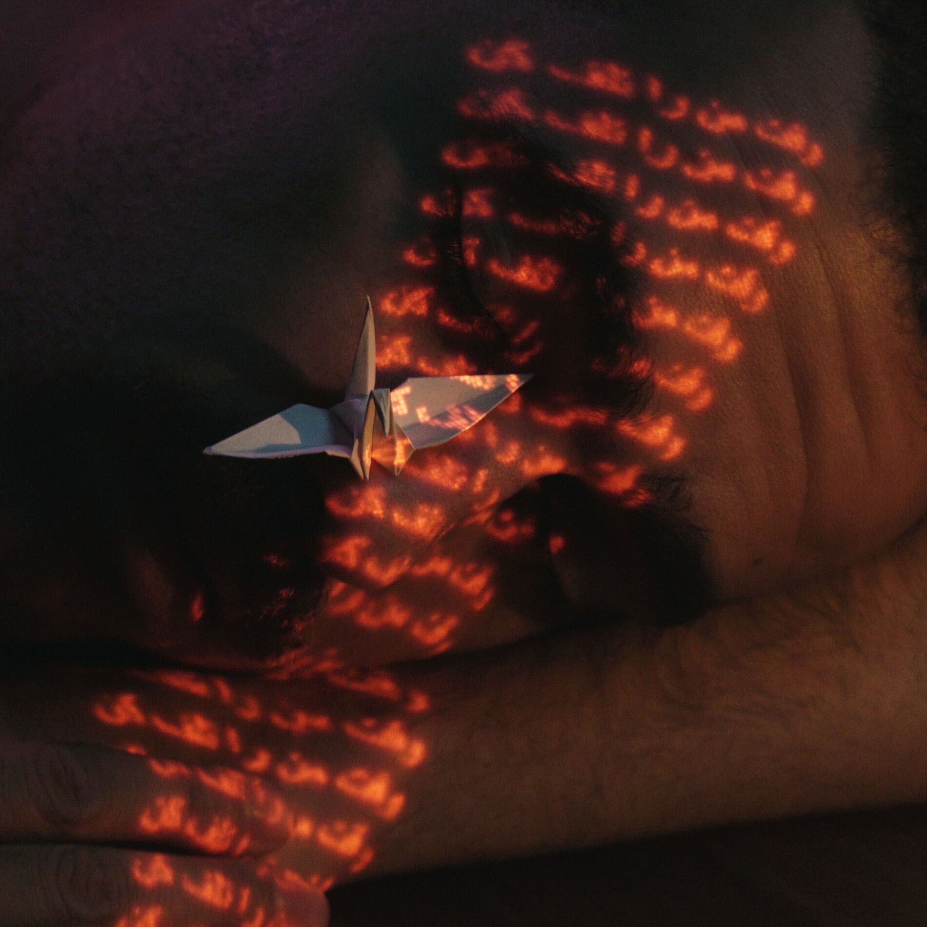 Album cover of In Shapes I-III