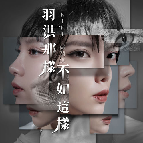 羽淇那样，不如这样