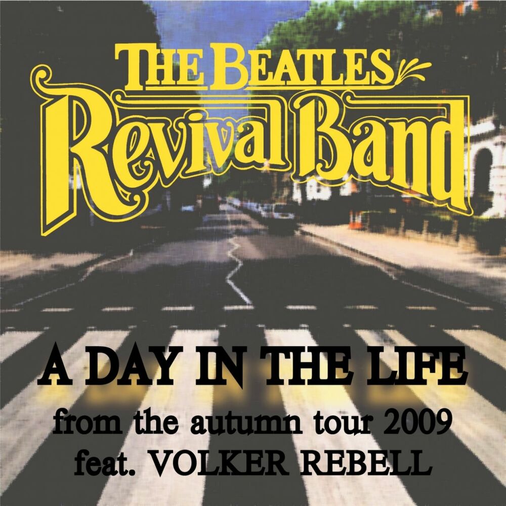 Picture of A Day in the Life (Live 2009)