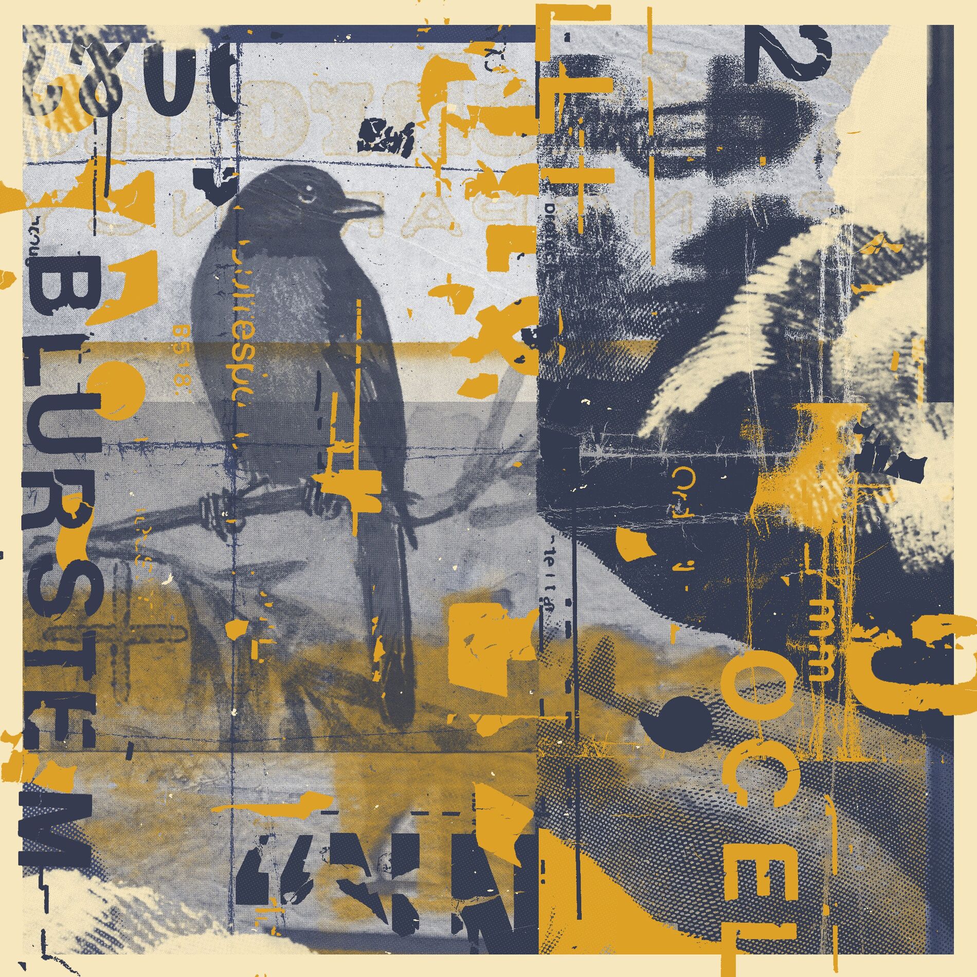 Album cover of Ocelli