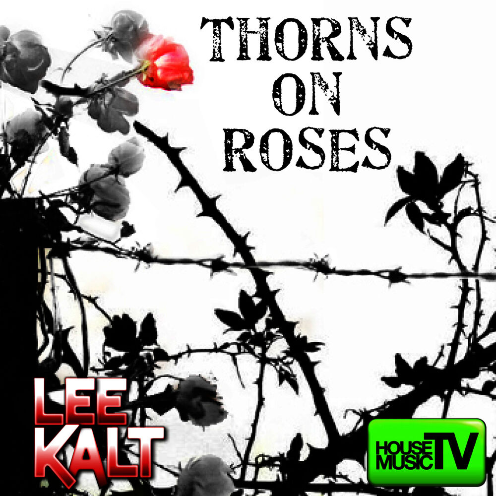 Picture of Thorns On Roses