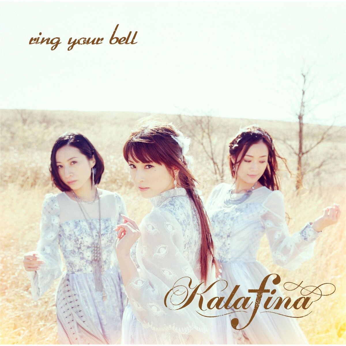Album cover of Ring Your Bell