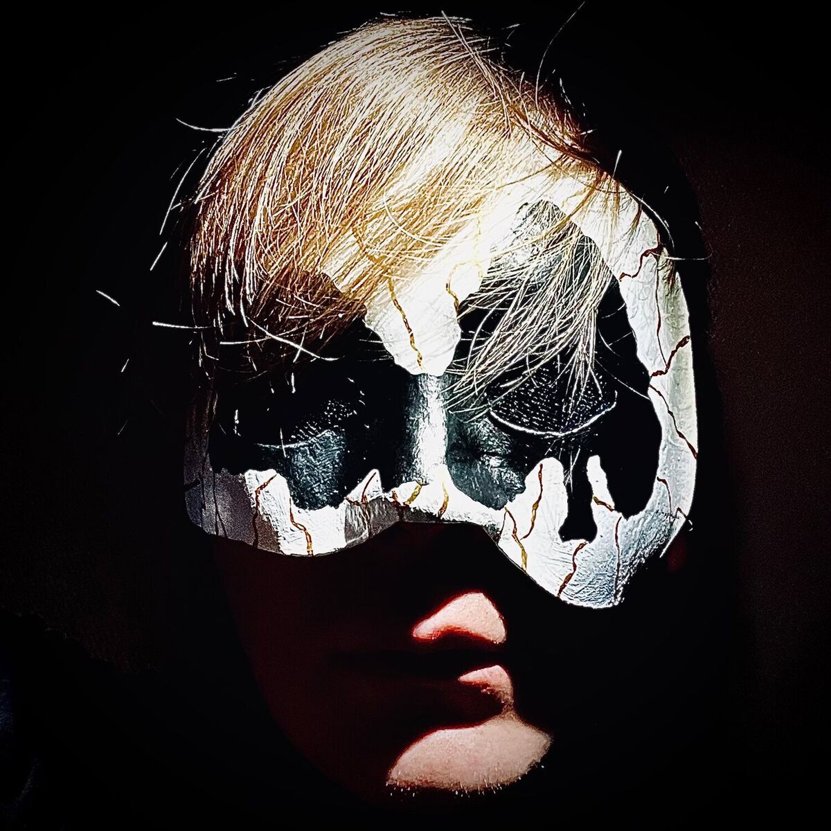Album cover of Rises the Moon