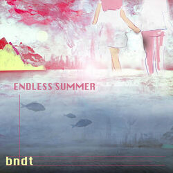 Cover of Endless Summer