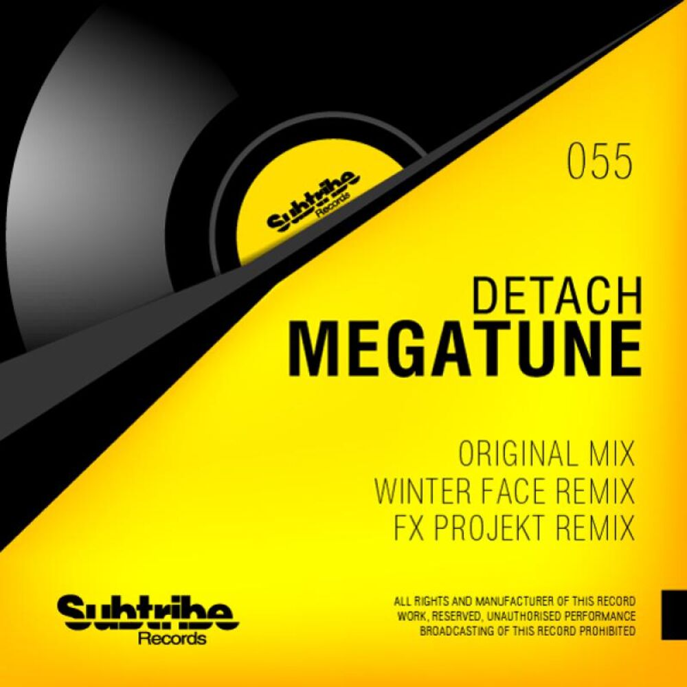 Picture of Megatune