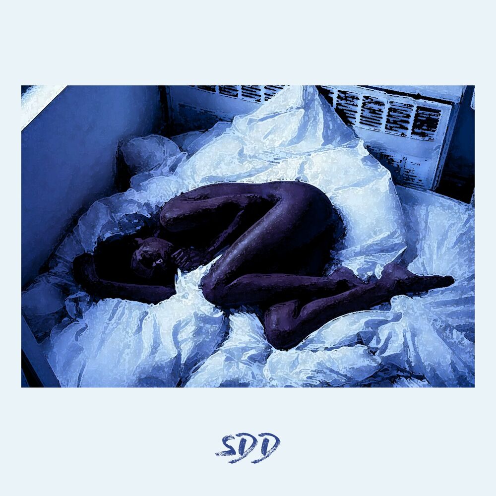 Picture of Sdd