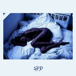 Cover of Sdd