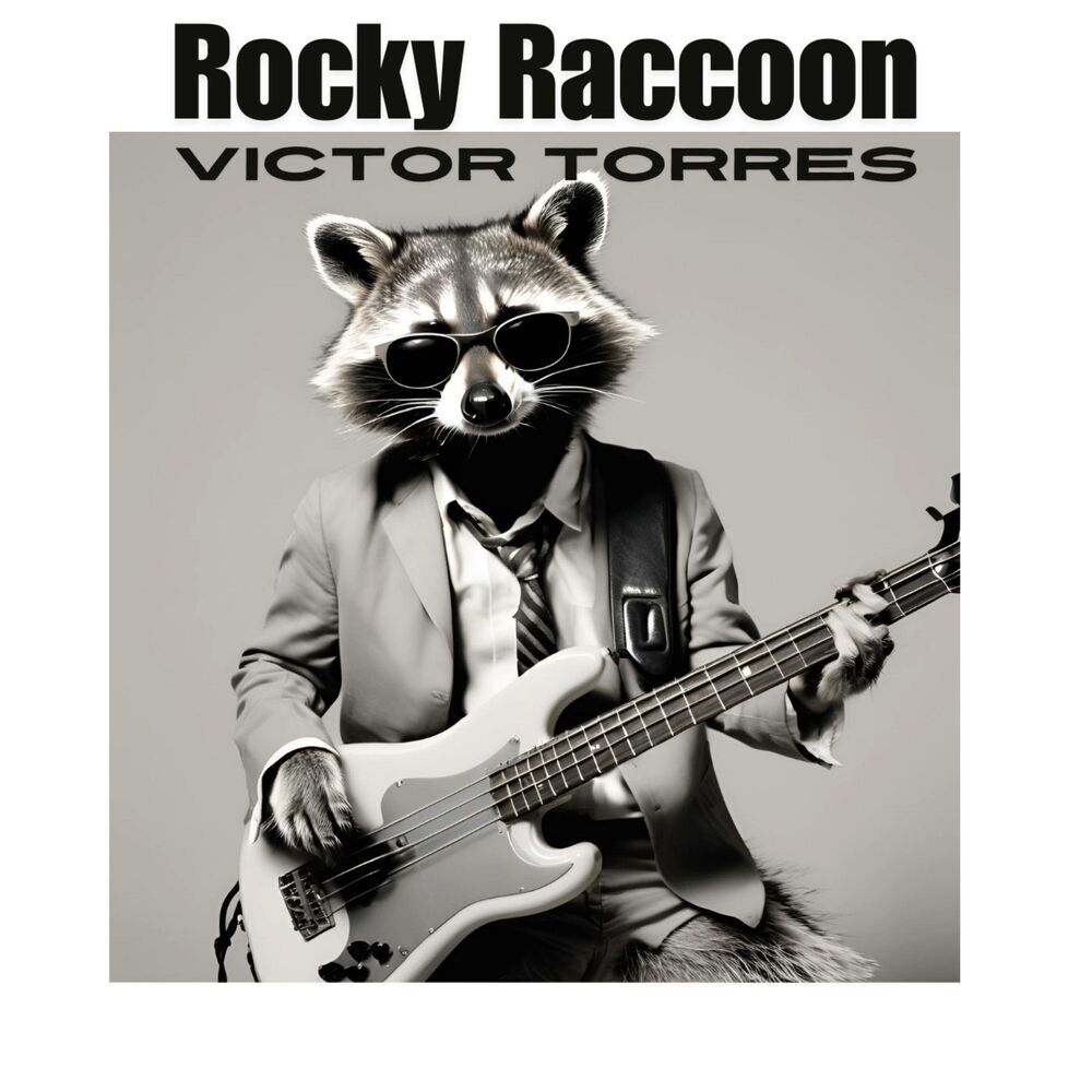Picture of Rocky Raccoon