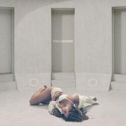 Cover of Revolving door (remixes)