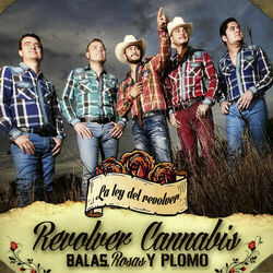 Cover of Balas, Rosas Y Plomo