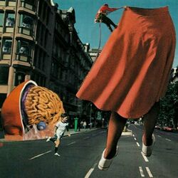 Cover of For the Head and the Feet