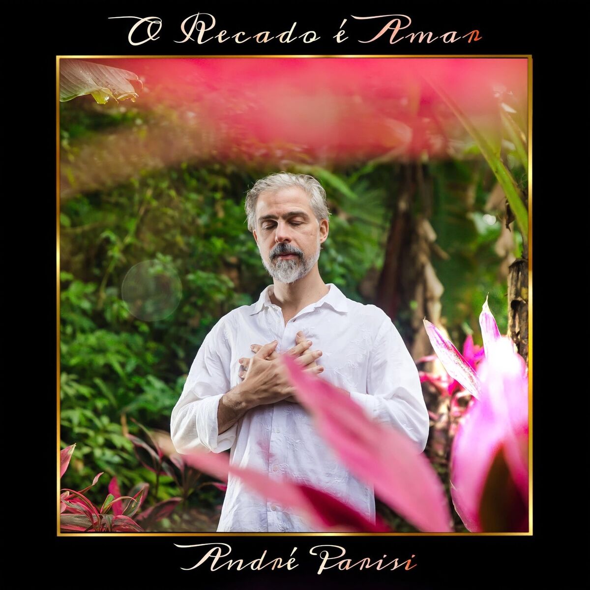 Album cover of O Recado É Amar