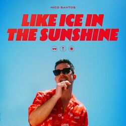 Cover of Like Ice In The Sunshine