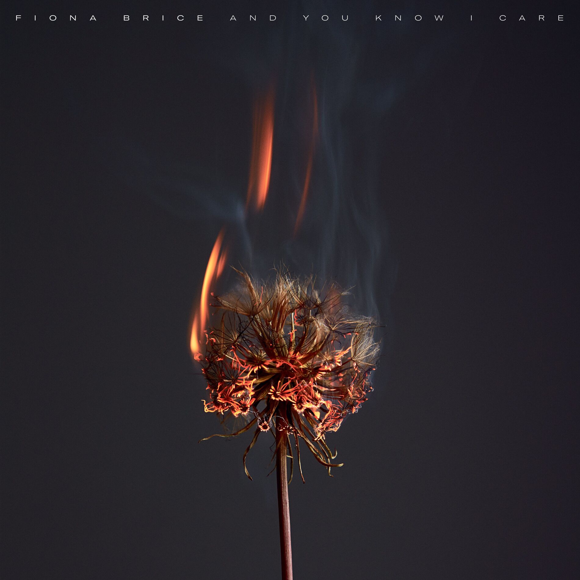 Album cover of And You Know I Care