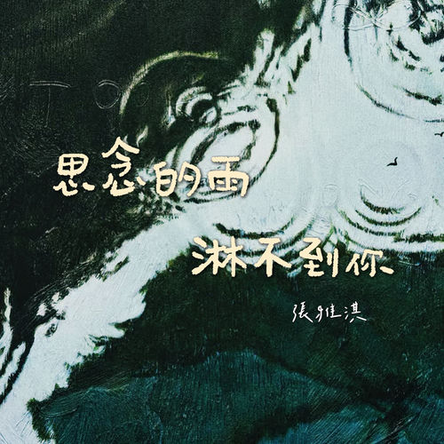 思念的雨淋不到你