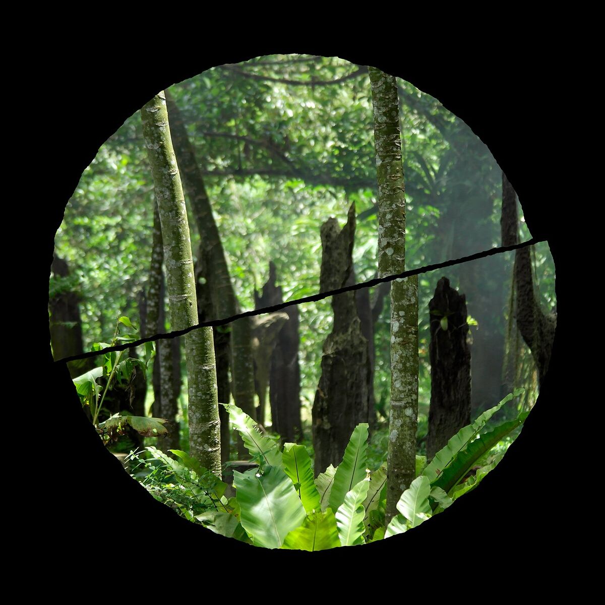 Album cover of The Hawthorne Effect
