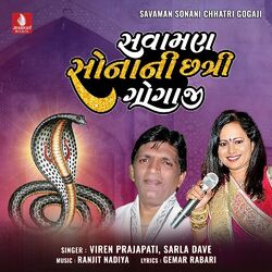 Cover of Savaman Sonani Chhatri Gogaji - Single