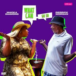 Cover of What Can Go So