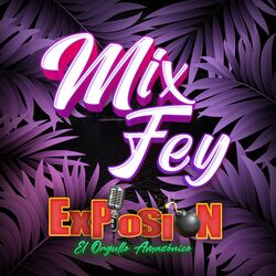 Cover of Mix Fey (Azúcar Amargo / Mío)