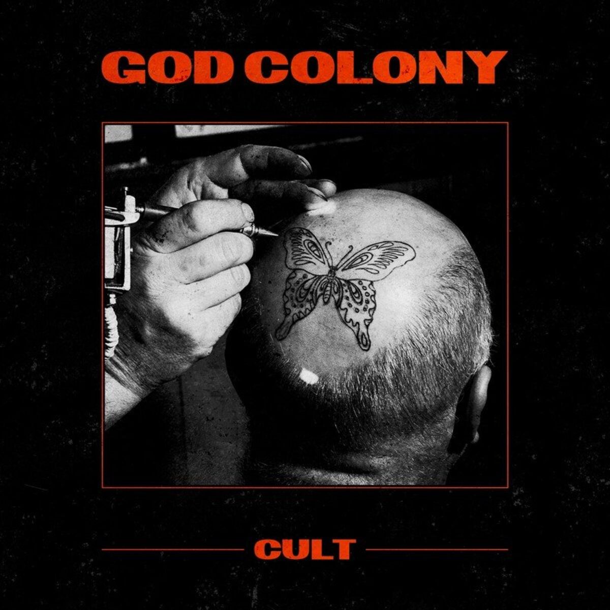 Album cover of Cult
