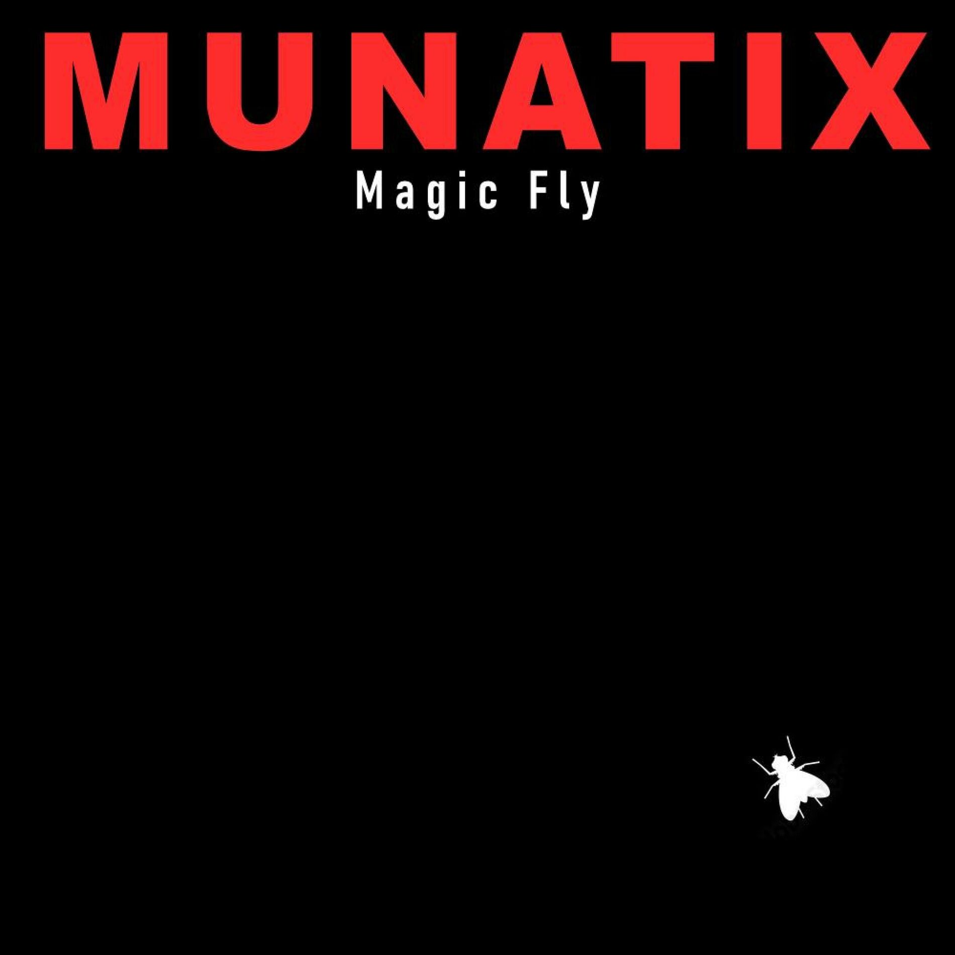 Album cover of Magic Fly