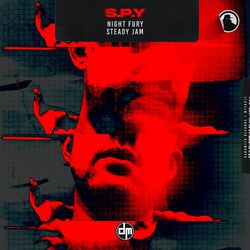 Cover of Night Fury