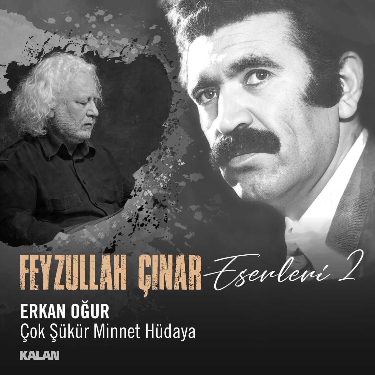Album cover of Çok Şükür Minnet Hüdaya (Feyzullah Çınar Eserleri 2)