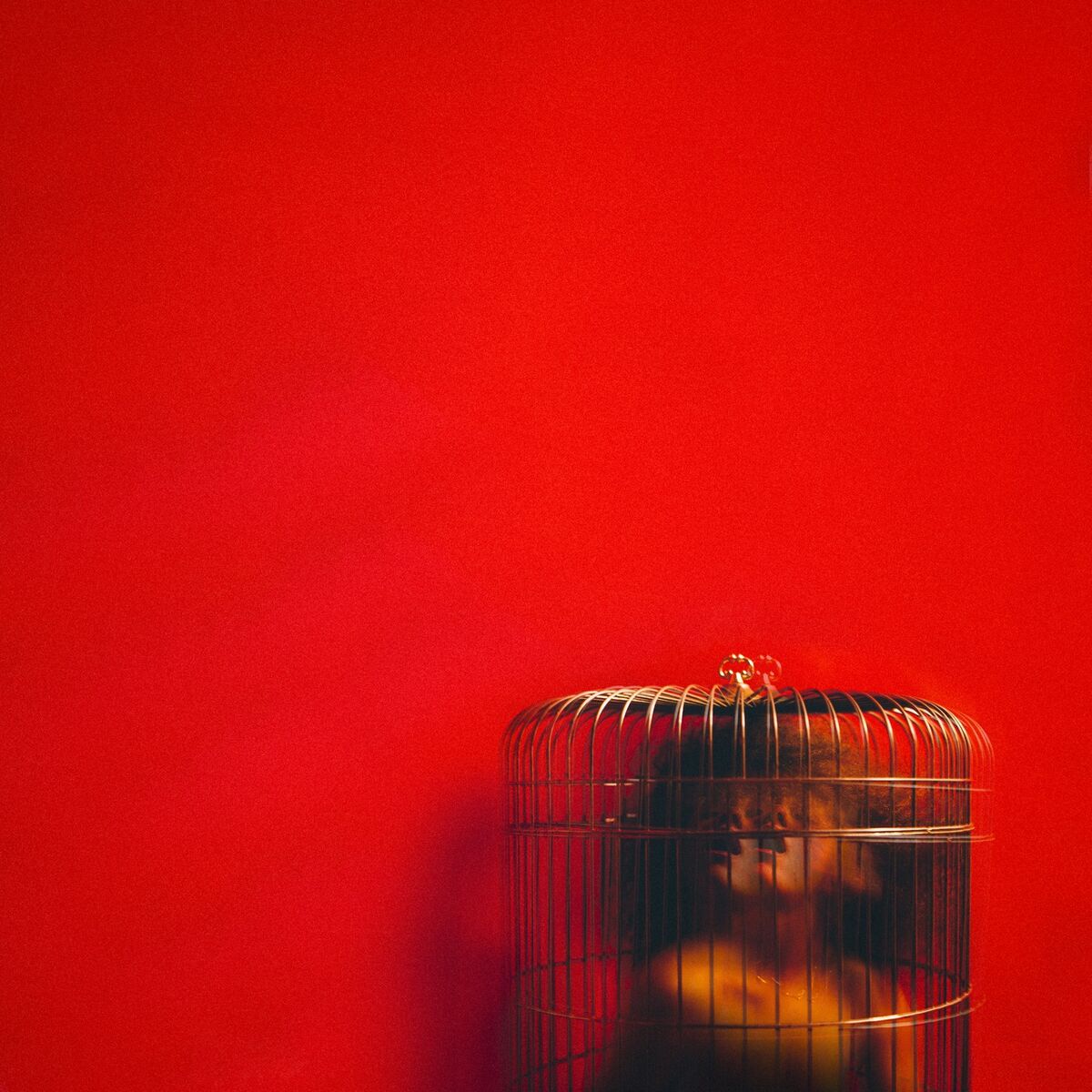 Album cover of Honey