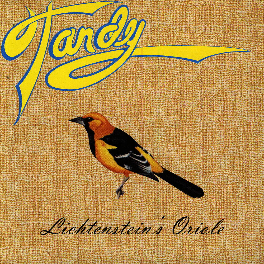Picture of Lichtenstein's Oriole
