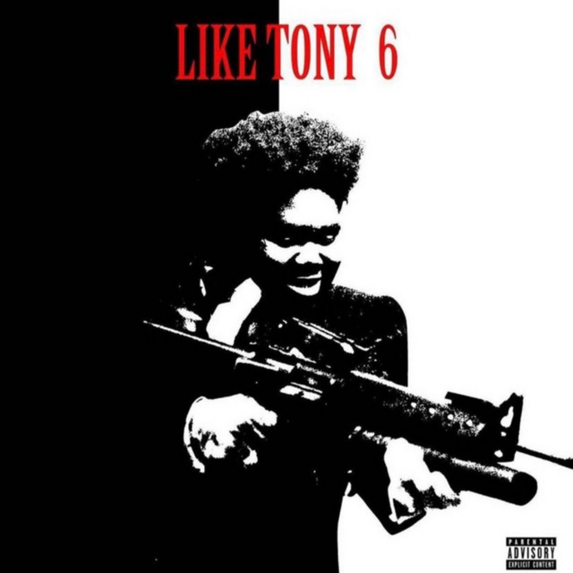 Album cover of Like Tony VI
