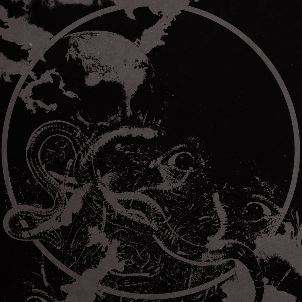 Picture of Fister/CHRCH Split