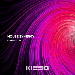 Cover of House Synergy