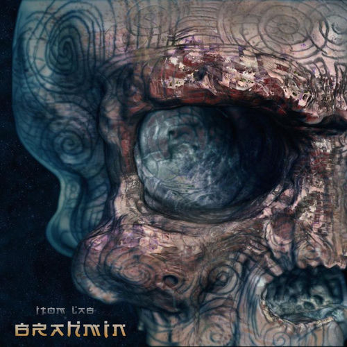 Brahmin artwork