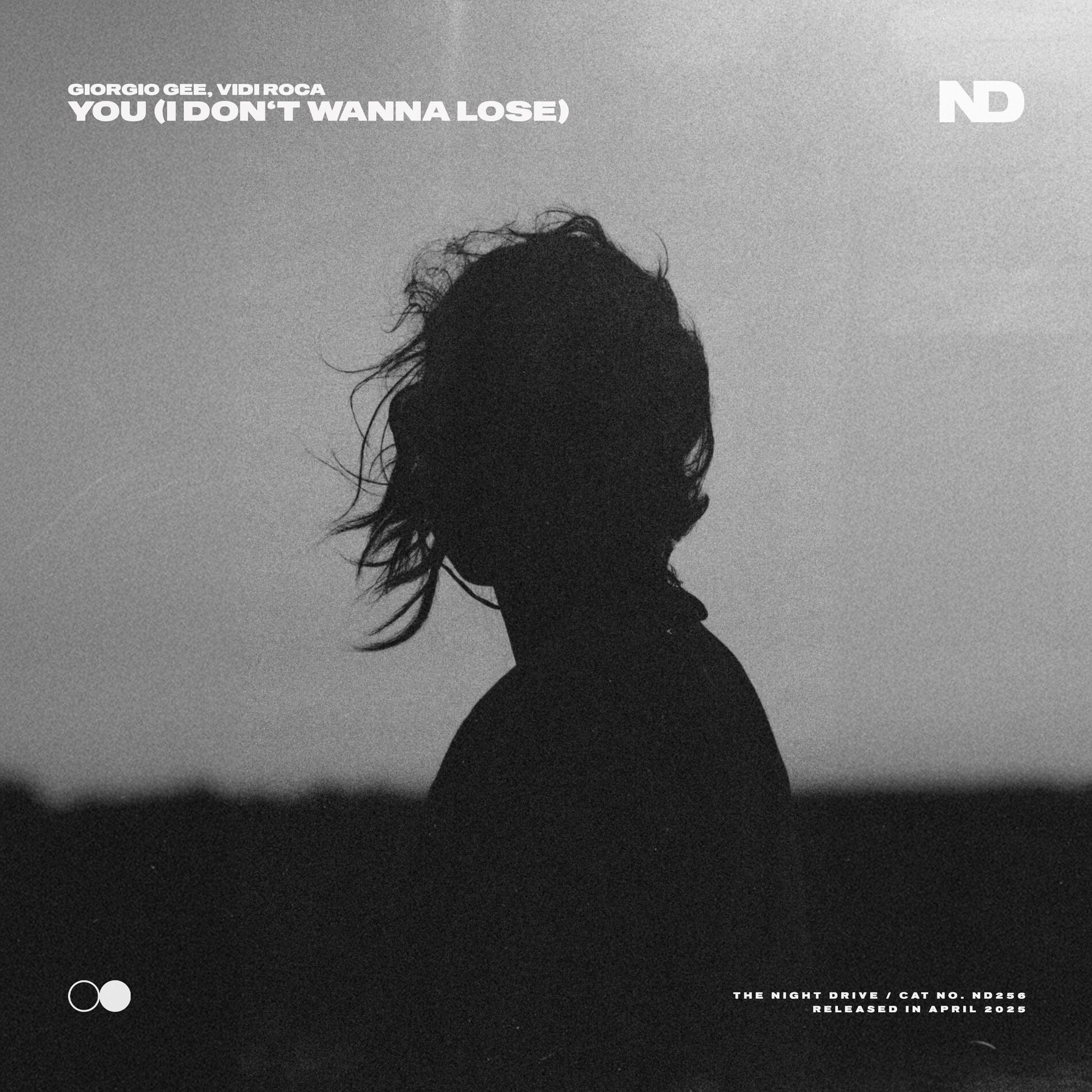 Album cover of You (I Don't Wanna Lose)