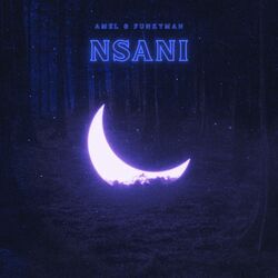 Cover of Nsani