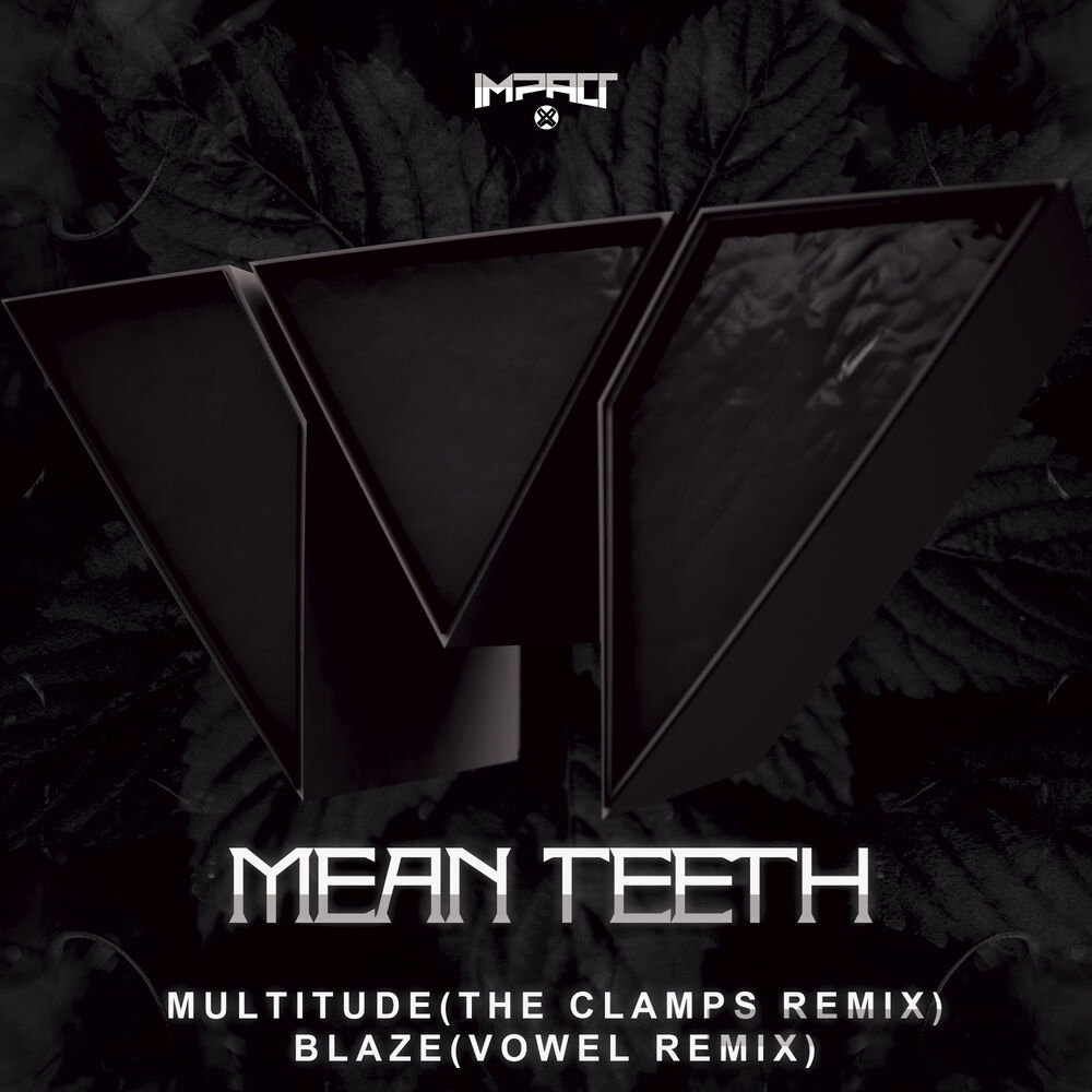 Picture of Multitude / Blaze (Remixes)