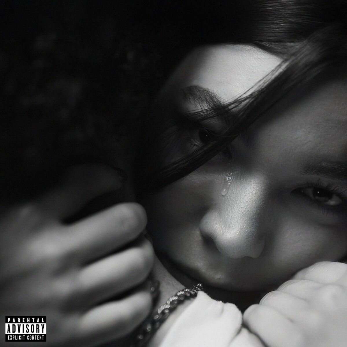 Album cover of Aviso De Despido