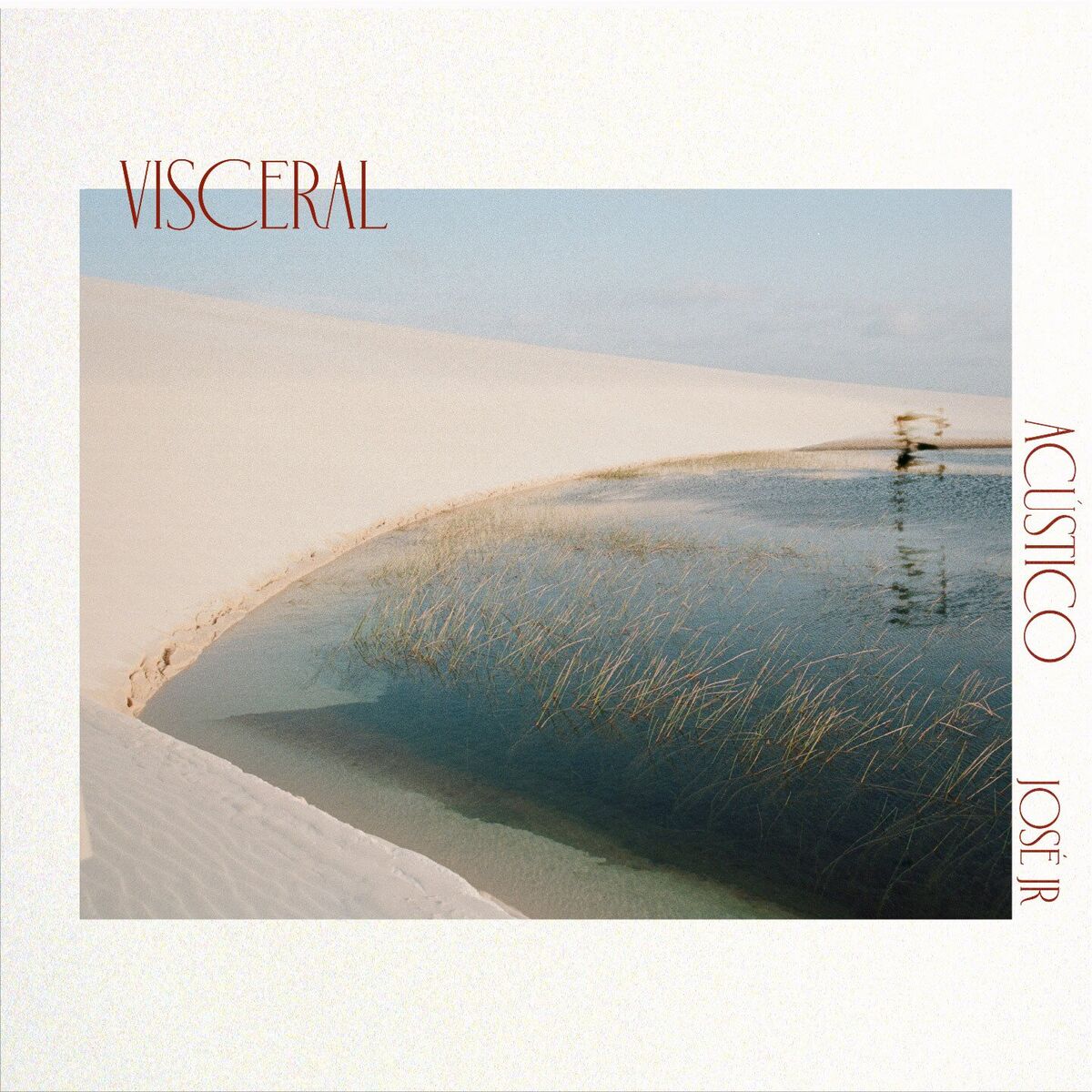 Album cover of Visceral (Acústico)