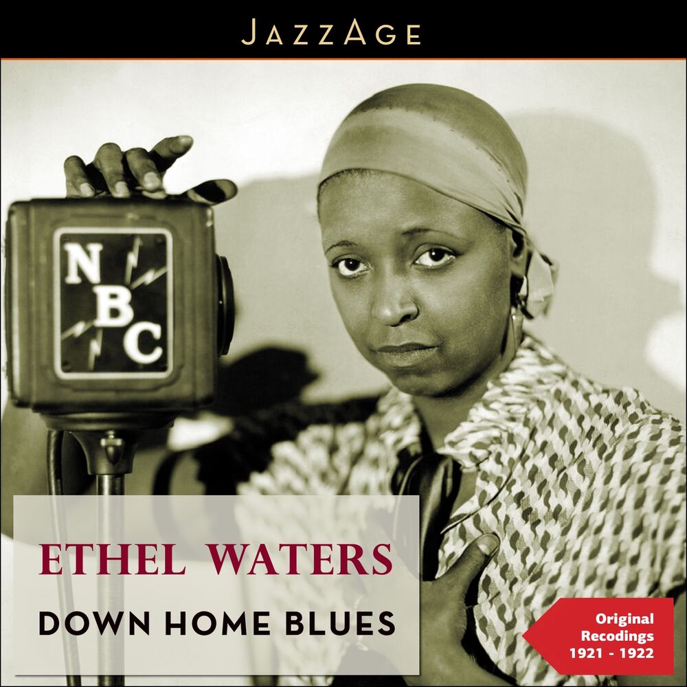 Picture of Down Home Blues (Original Recordings 1920 - 1921)