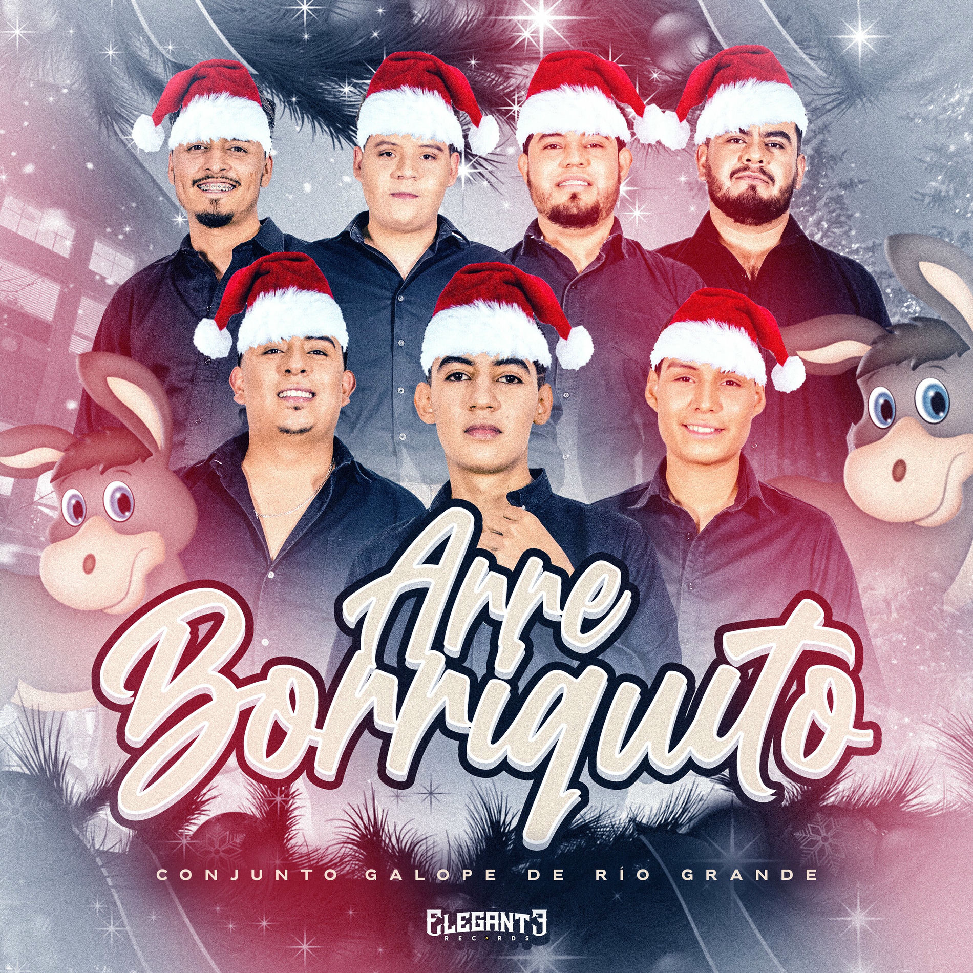 Album cover of Arre Borriquito