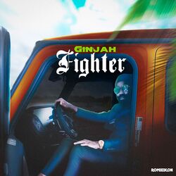 Cover of Fighter