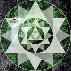 Cover of Wildlife