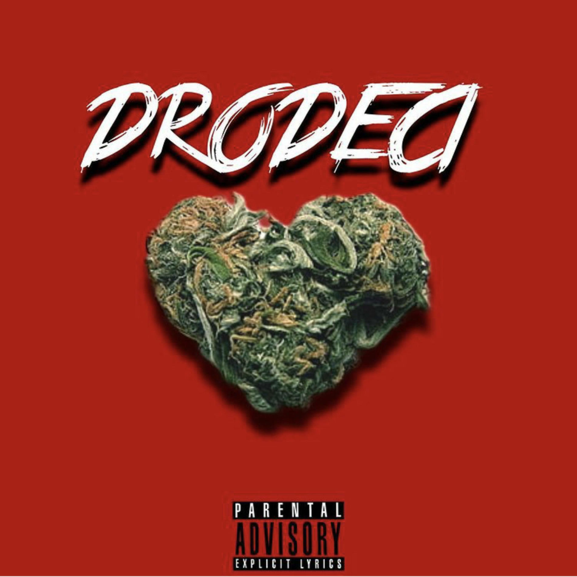 Album cover of DRODECI