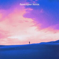 Cover of Hell In High Heels (Basstripper Remix)