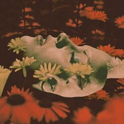 Cover of Control