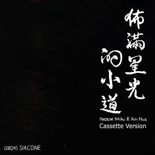 佈滿星光的小道 (Cassette Version)