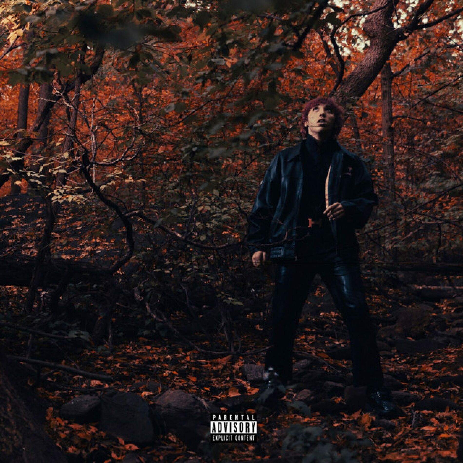 Album cover of HOME!