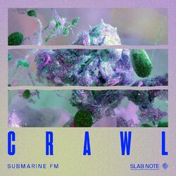 Cover of Crawl