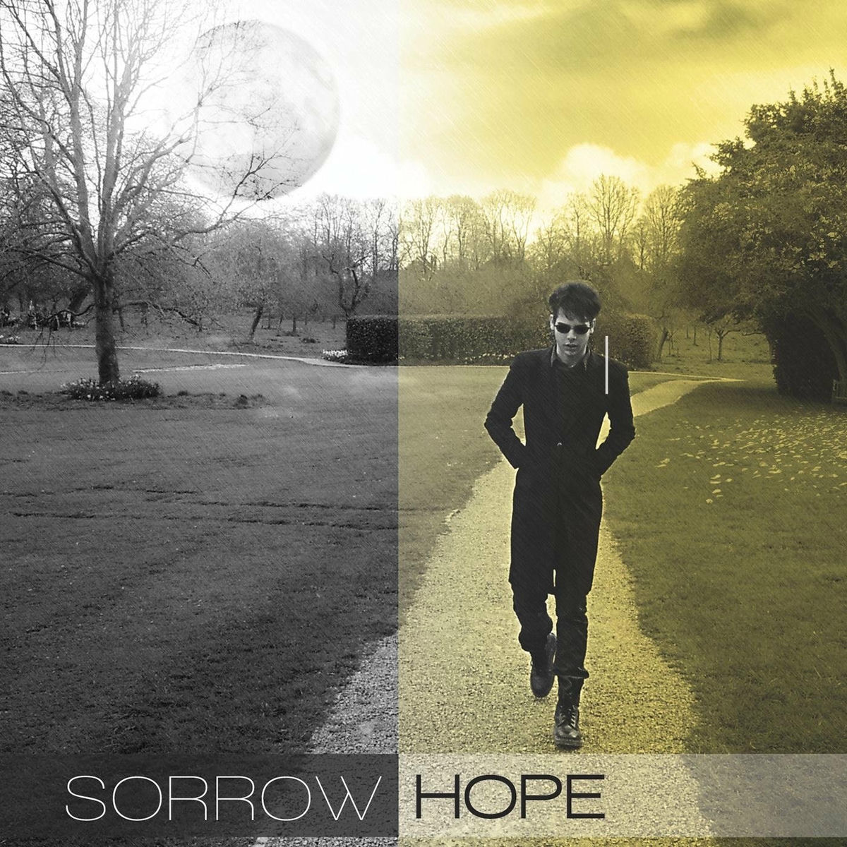 Album cover of Sorrow / Hope